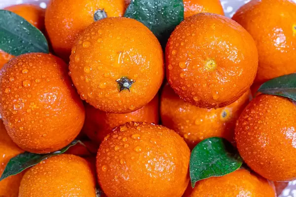 Fresh oranges tangerines with leaves and water drops (Flip 2019)