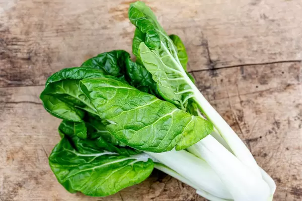 Fresh pak choi baby cabbage on wooden background