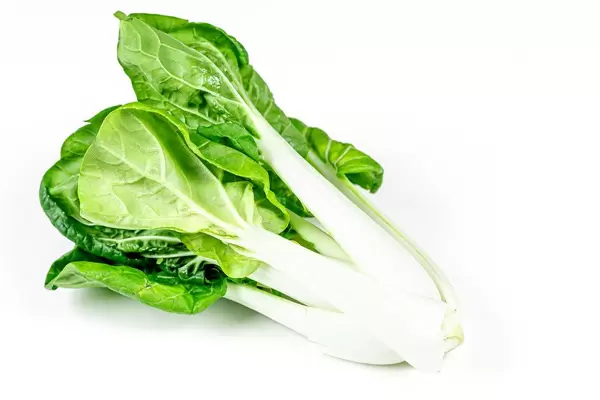 Fresh pak Choy on a white background (Flip 2020)