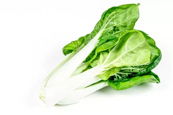 Fresh pak Choy on a white background