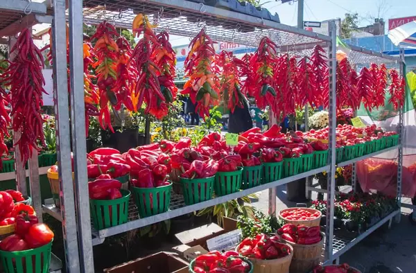 Fresh Peppers at the Farme Market  (Flip 2019)