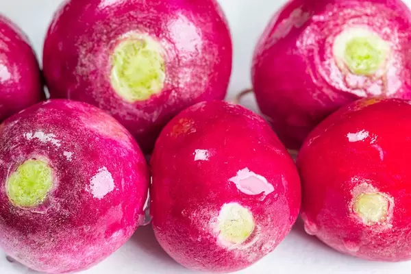 Fresh pink radish with water drops
