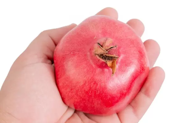 Fresh Pomegranate in the hand above white background