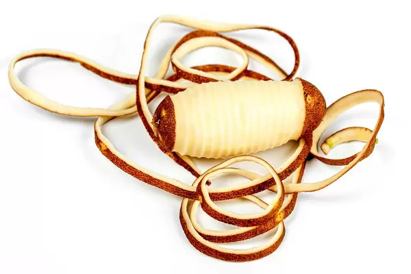 Fresh potatoes with long peels