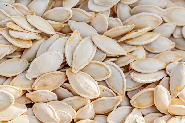 Fresh pumpkin seeds