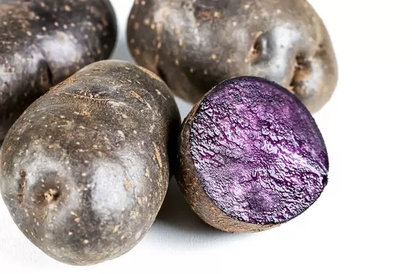Fresh purple potatoes whole and half on white