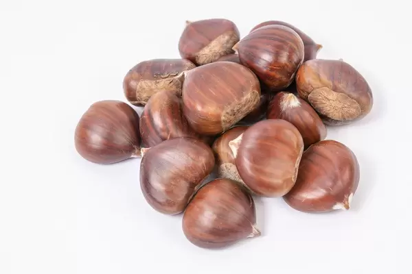Fresh raw Chestnuts above white background (Flip 2019)