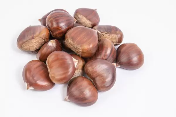 Fresh raw Chestnuts above white background