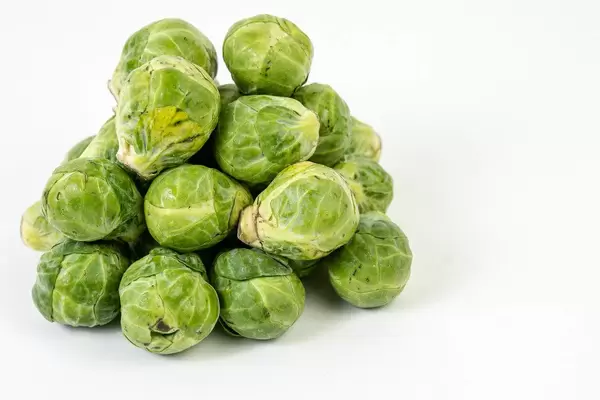Fresh raw healthy Brussel Sprouts above white background (Flip 2019)