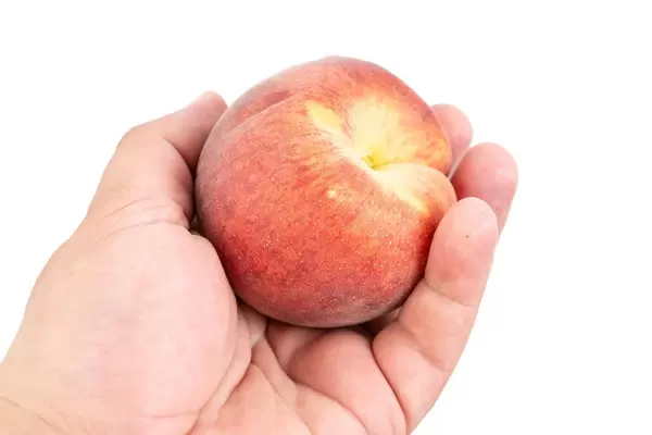 Fresh Raw Peach in the hand above white background