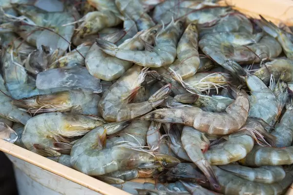 Fresh raw shrimp on display at a local market in Bacolod (Flip 2019)