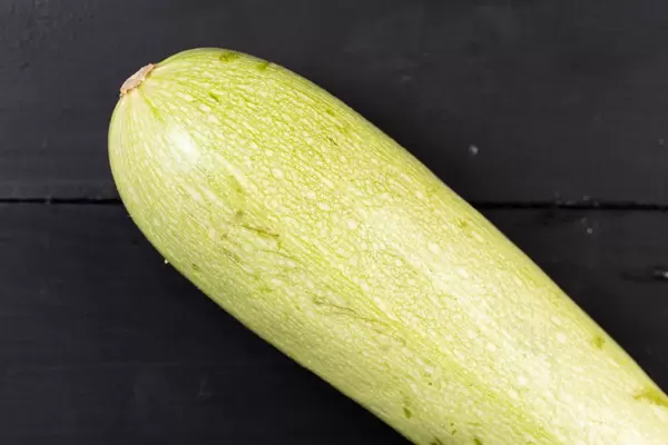 Fresh Raw Zucchini