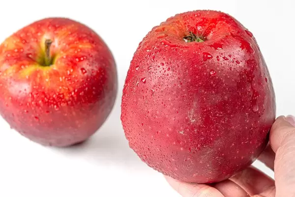 Fresh red apple with drops of water in hand (Flip 2020)