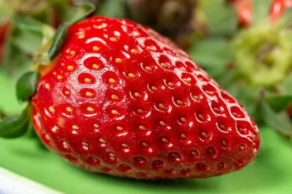 Fresh Red Strawberry