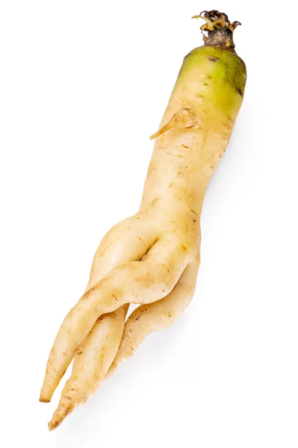 Fresh ripe arracacha white carrot