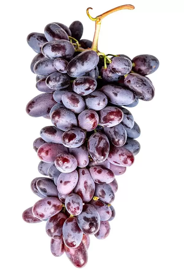 Fresh ripe blue grapes on a white background