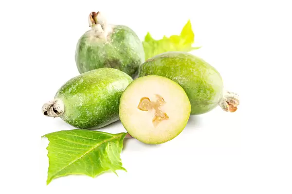 Fresh ripe feijoa fruits with leaves