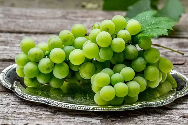 Fresh ripe green grapes on a silver tray