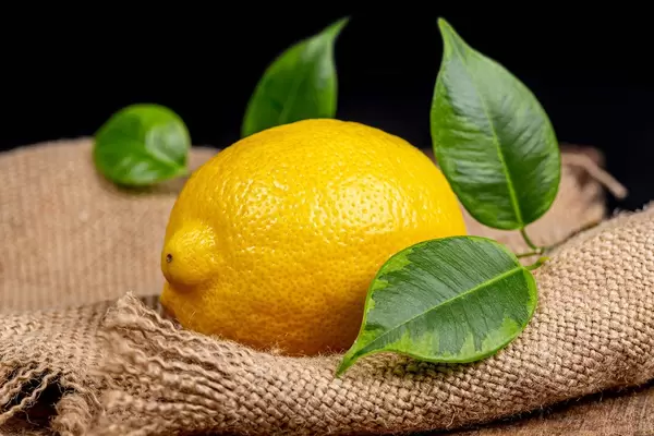 Fresh ripe lemon with leaves on burlap