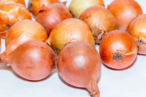 Fresh ripe onions  Flip 2019