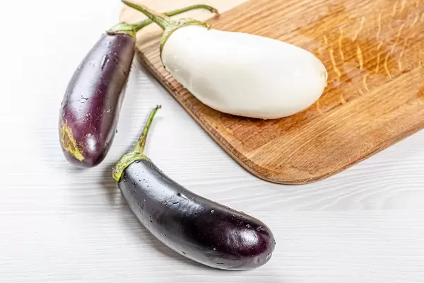 Fresh ripe purple and white eggplant