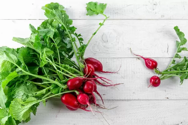 Fresh ripe radish on white wooden background