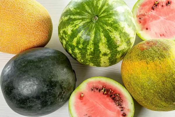 Fresh ripe watermelons and melons, top view (Flip 2019)