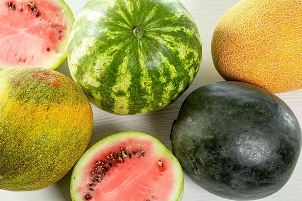 Fresh ripe watermelons and melons, top view