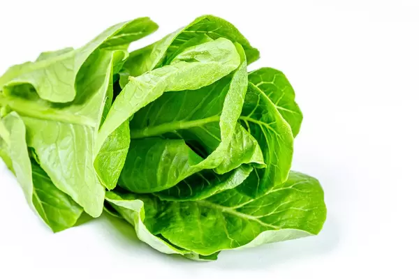 Fresh romaine lettuce on white