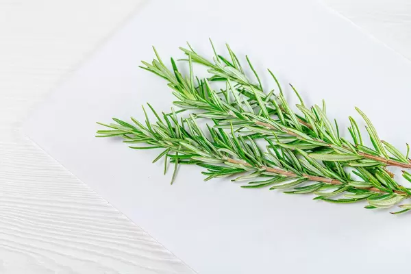 Fresh rosemary branches (Flip 2019)