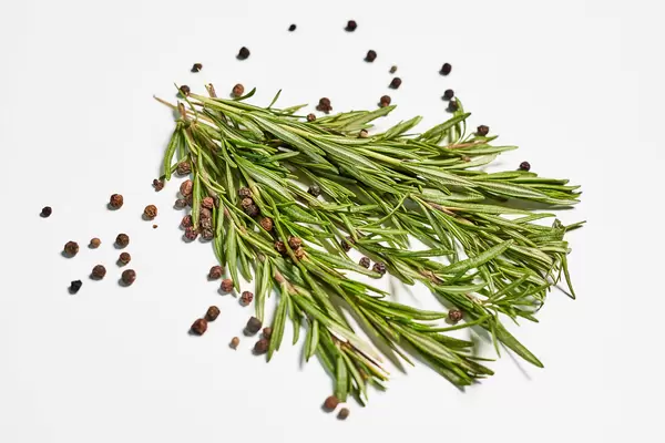 Fresh rosemary bunch on white background
