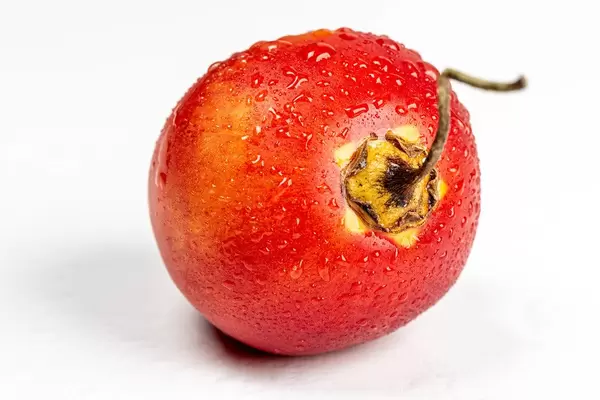 Fresh tamarillo with water drops on white background