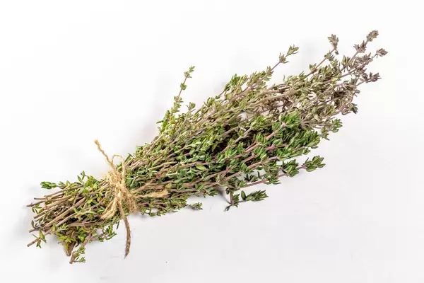 Fresh thyme on white background