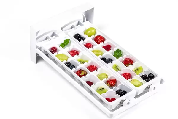 Fresh various fruits and mint leaves with water ready for freezing