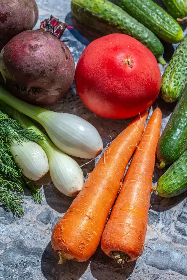 Fresh vegetables with dill. Top view