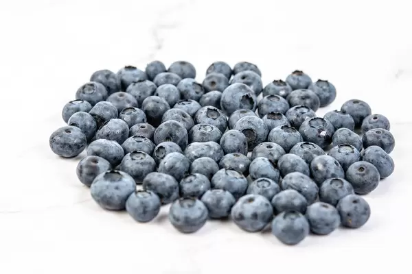 Fresh Whole Blueberries on the white background