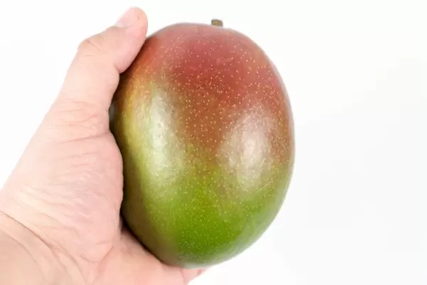 Fresh-whole-Mango-fruit-in-the-hand-above-white-background.jpg