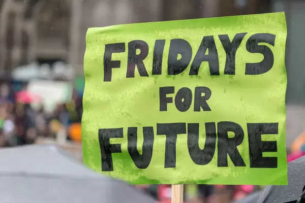 'Fridays For Future' Schild auf Kölner Umweltdemonstration