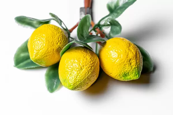 Fridge magnets yellow lemons on a white background (Flip 2020)
