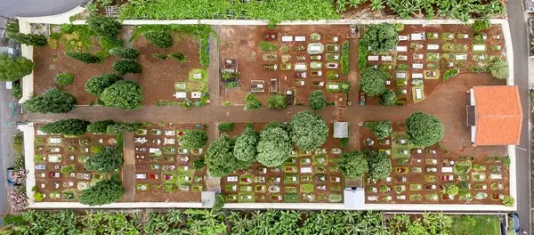 Friedhof in Ponta do Sol