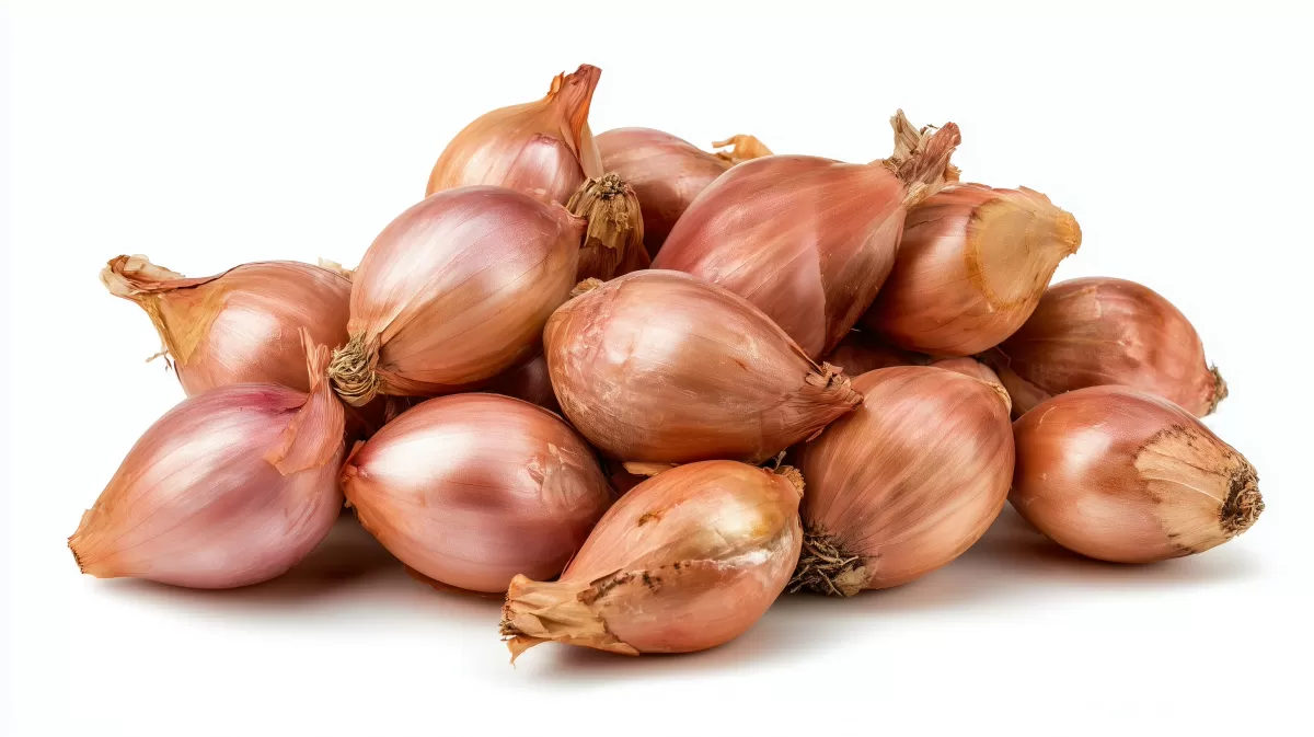 Frisch geernstete Zwiebeln in einer Anordnung