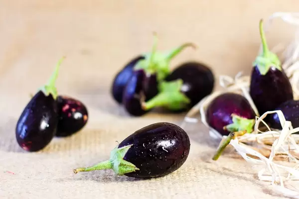 Frische Auberginen