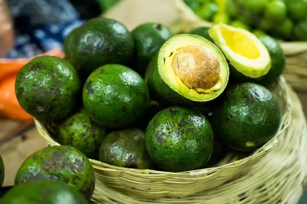Frische Avocados auf dem Markt