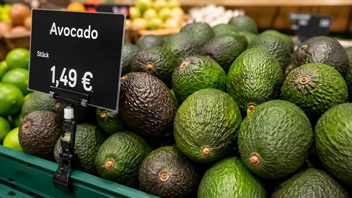 Frische Avocados im Supermarkt für 1,49 Euro