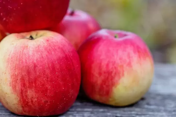 Frische Bio-Äpfel auf einem Holztisch