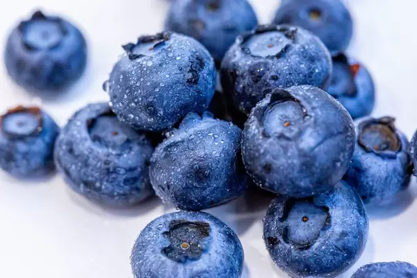 Frische Blaubeeren auf weißer Oberfläche, in der Nahaufnahme