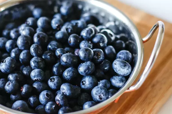 Frische Blaubeeren in Metallschale