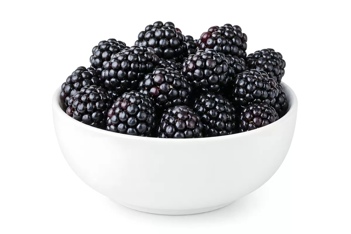 Frische Brombeeren in weißer Schüssel auf hellem Grund