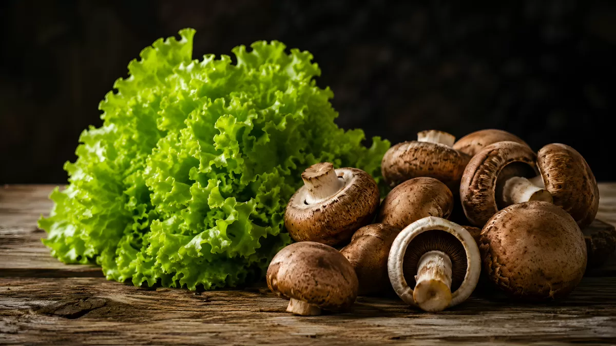Frische Champignons und grüner Blattsalat auf Holz