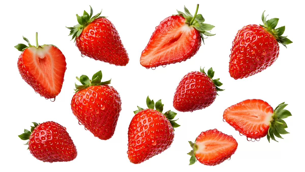 Frische Erdbeeren ganz und halbiert auf weißem Grund